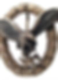 Flugzeugführerabzeichen