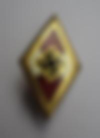 Das Goldene Hitler-Jugend-Abzeichen