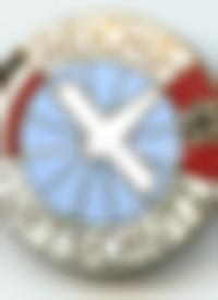 Flugmeldedienstabzeichen (1st pattern)