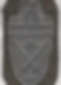 Ärmelschild Demjansk