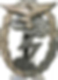 Luftwaffen Erdkampfabzeichen