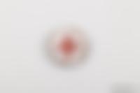 NSF Deutsche Kinderschar