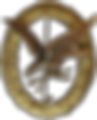 Fliegerschützenabzeichen für Bordfunker